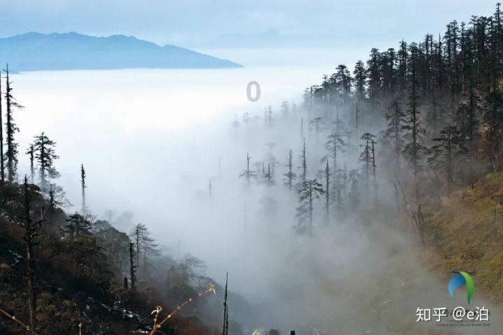 订婚强奸案被判强奸男子民事起诉，男方请求女方结婚登记，不结退还11.8万彩礼，法院能否支持男方诉求？